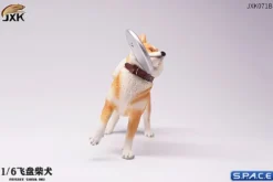 1/6 Scale Shiba Inu with frisbee