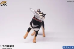 1/6 Scale Shiba Inu with frisbee
