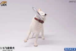 1/6 Scale Shiba Inu with frisbee