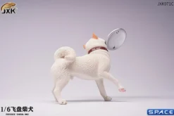 1/6 Scale Shiba Inu with frisbee