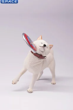 1/6 Scale Shiba Inu with frisbee