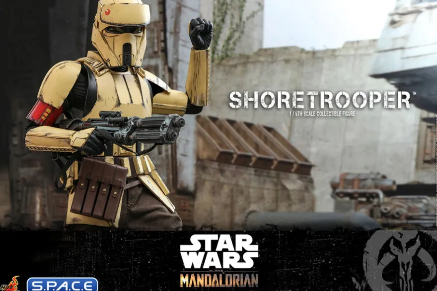 1/6 Scale Shoretrooper TV Masterpiece TMS031