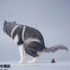 1/6 Scale Siberian Husky Half Squat