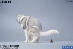 1/6 Scale Siberian Husky Half Squat