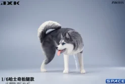 1/6 Scale Siberian Husky Leg Lift