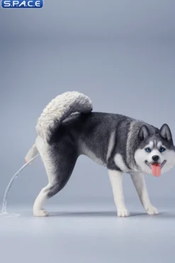 1/6 Scale Siberian Husky Leg Lift