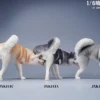 1/6 Scale Siberian Husky Leg Lift