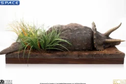 1/8 Scale Sick Triceratops Maquette