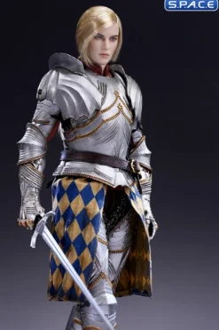 1/6 Scale Silver Armored Guard