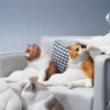 1/6 Scale sitting Cat