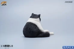1/6 Scale sitting Cat