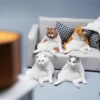 1/6 Scale sitting Cat