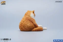 1/6 Scale sitting Cat