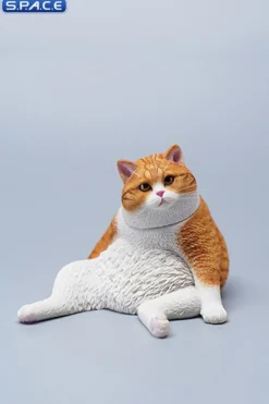 1/6 Scale sitting Cat