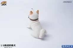 1/6 Scale sitting Shiba Inu »Don't go Home«
