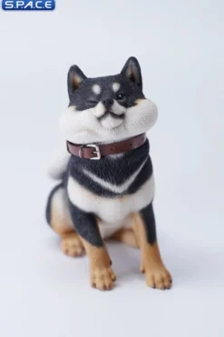 1/6 Scale sitting Shiba Inu »Don't go Home«