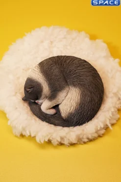 1/6 Scale sleeping Cat