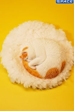 1/6 Scale sleeping Cat