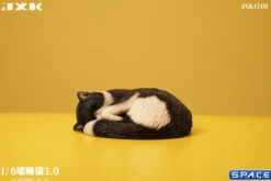 1/6 Scale sleeping Cat