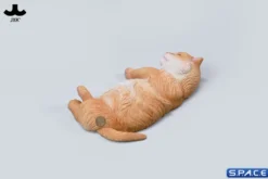 1/6 Scale sleeping Cat with pillow