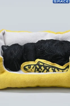 1/6 Scale sleeping Cat with pillow