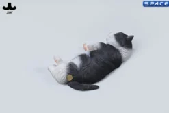 1/6 Scale sleeping Cat with pillow