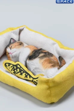 1/6 Scale sleeping Cat with pillow