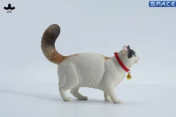 1/6 Scale Somali Cat