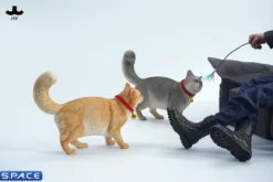 1/6 Scale Somali Cat