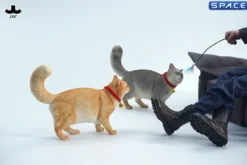 1/6 Scale Somali Cat