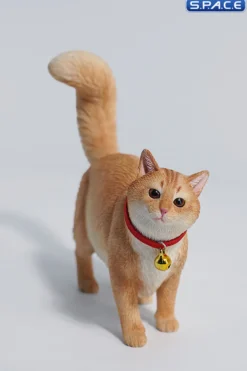 1/6 Scale Somali Cat