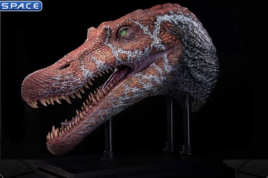 1/2 Scale Spinosaurus Head Replica