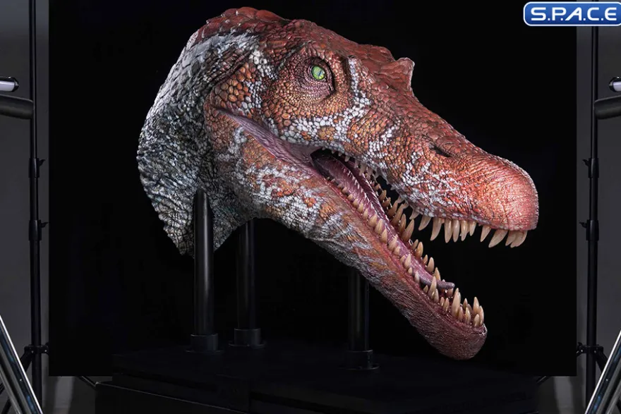 1/2 Scale Spinosaurus Head Replica