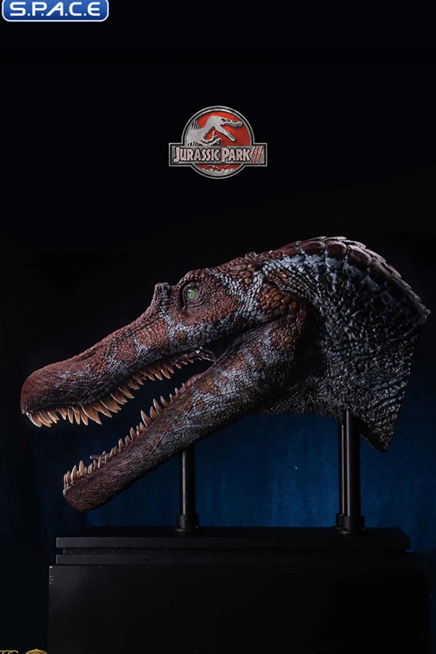 1/2 Scale Spinosaurus Head Replica