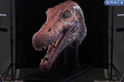 1/2 Scale Spinosaurus Head Replica