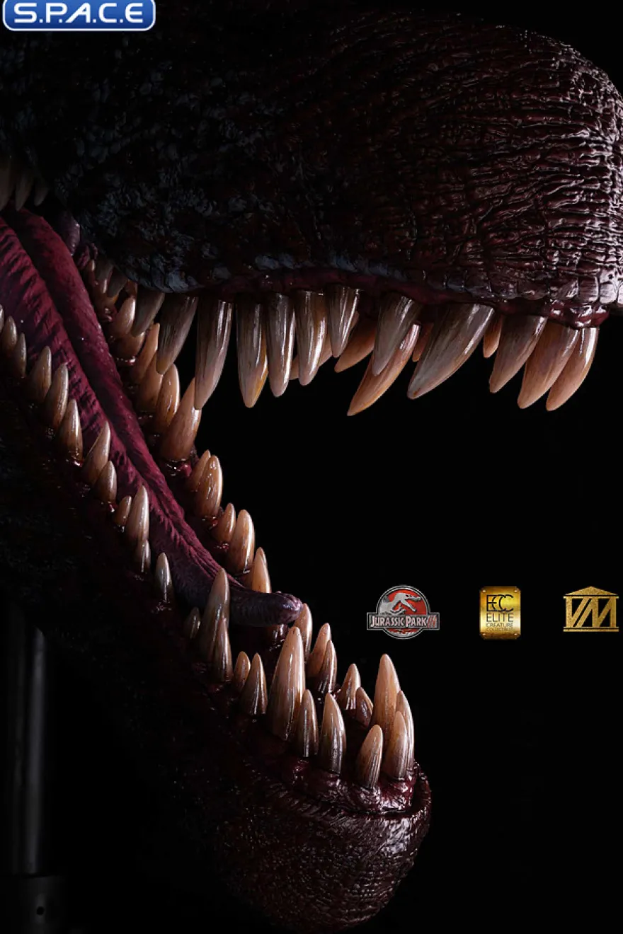 1/2 Scale Spinosaurus Head Replica