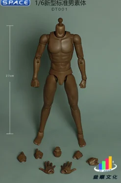 1/6 Scale Standard Male Body