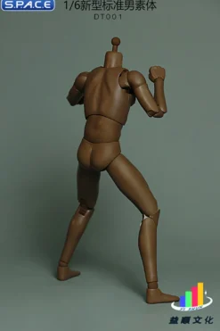 1/6 Scale Standard Male Body