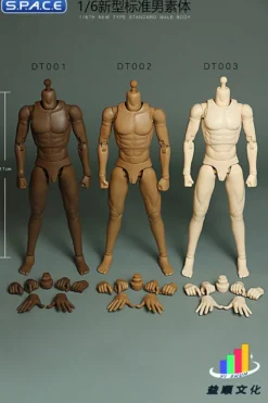 1/6 Scale Standard Male Body