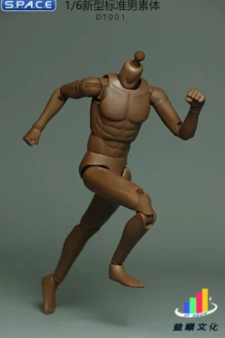 1/6 Scale Standard Male Body
