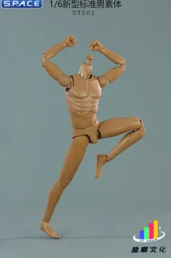 1/6 Scale Standard Male Body
