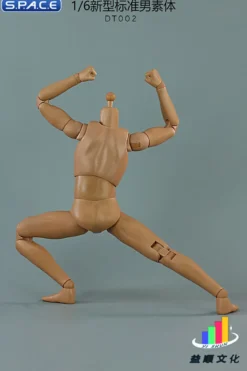 1/6 Scale Standard Male Body