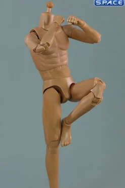 1/6 Scale Standard Male Body