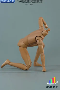1/6 Scale Standard Male Body