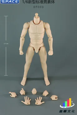 1/6 Scale Standard Male Body