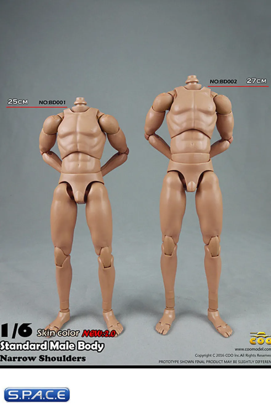 1/6 Scale Standard Male high Body 2.0