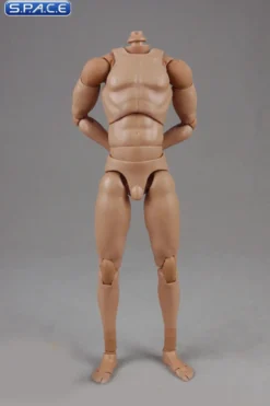 1/6 Scale Standard Male high Body 2.0