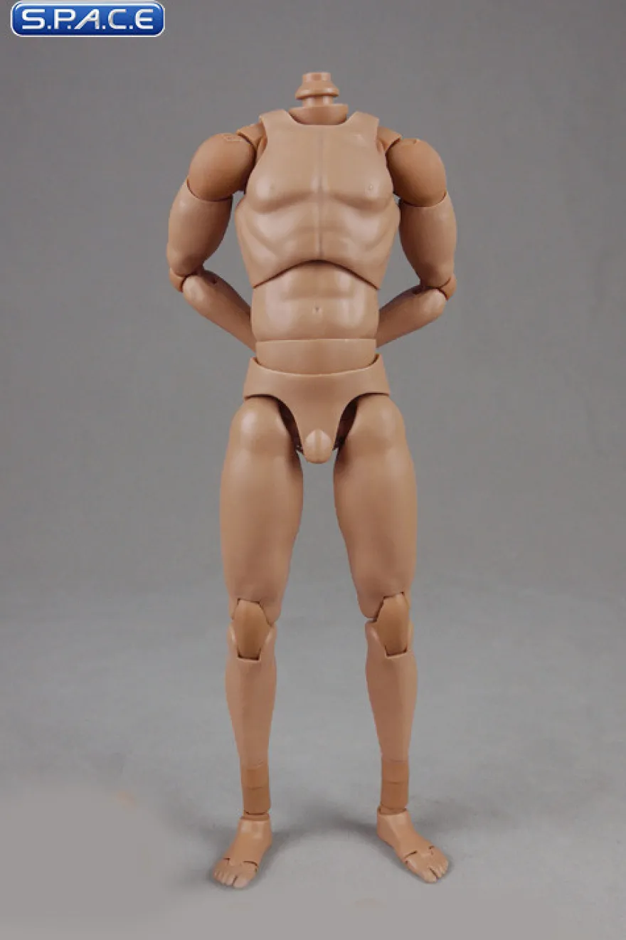1/6 Scale Standard Male high Body 2.0