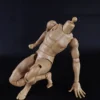 1/6 Scale Standard Muscle Arm Body