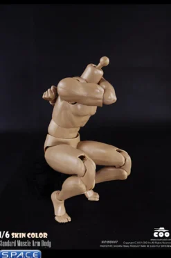 1/6 Scale Standard Muscle Arm Body